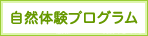 自然体験の企画